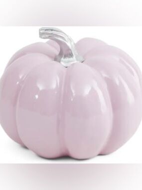 🆕- By Shabby Chic Pale Pink Ceramic Pumpkin with Silver Stem